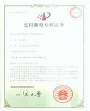 用於配合手套使用的（de）隔汗片實用新型專利