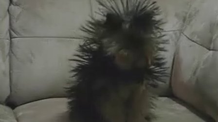 秋冬季（jì）節靜（jìng）電防護常識（shí）