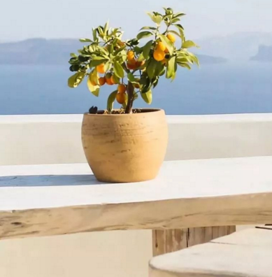 興業卓（zhuó）輝頒獎現場|你（nǐ）獲獎的樣子，真美！