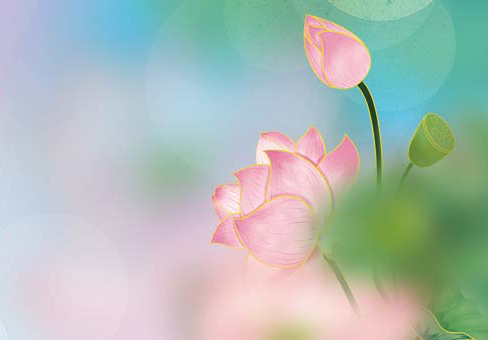 立夏（xià）時節︱生如夏花，絢爛如初