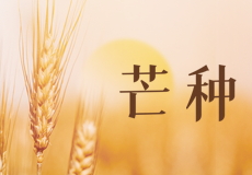 今日（rì）芒（máng）種