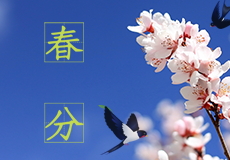 今日春分，春意從此（cǐ）濃