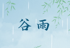 穀（gǔ）雨｜雨生百（bǎi）穀，潤物無聲