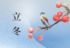 立冬（dōng）｜霜染萬（wàn）物，冬之伊始