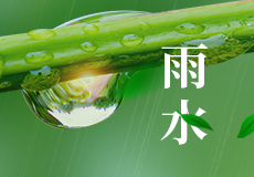 雨水（shuǐ） | 好雨知時節，當春乃發生