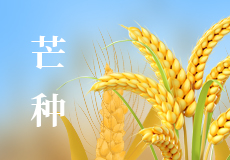 今日芒種｜願你“芒（máng）”有所（suǒ）獲，“種”有所得