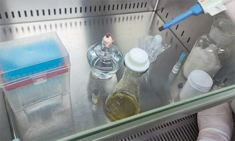 必知要點：非無菌（jun1）產品微（wēi）生物限度檢查全解析