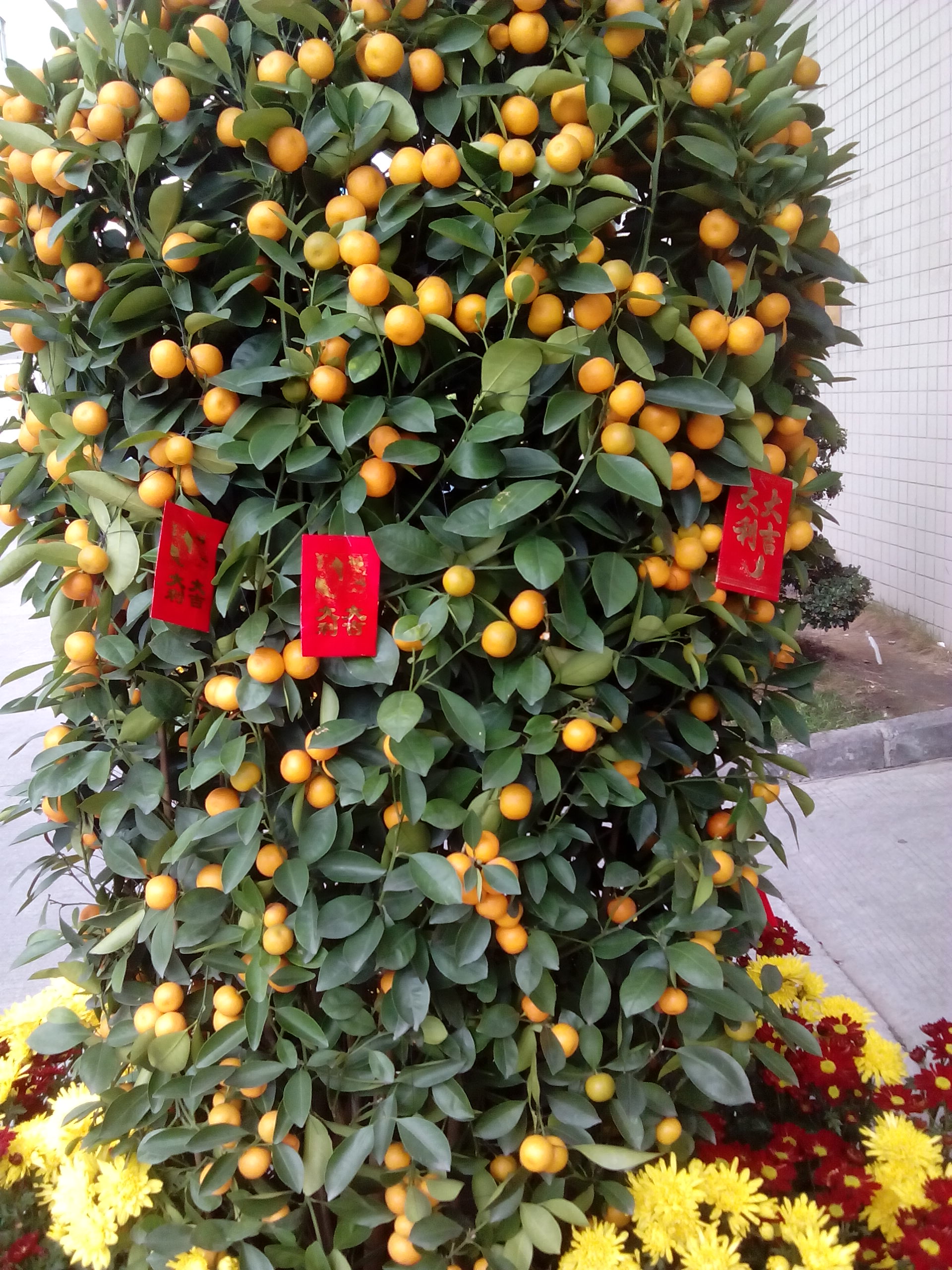 興(xìng)業卓輝 興業卓輝