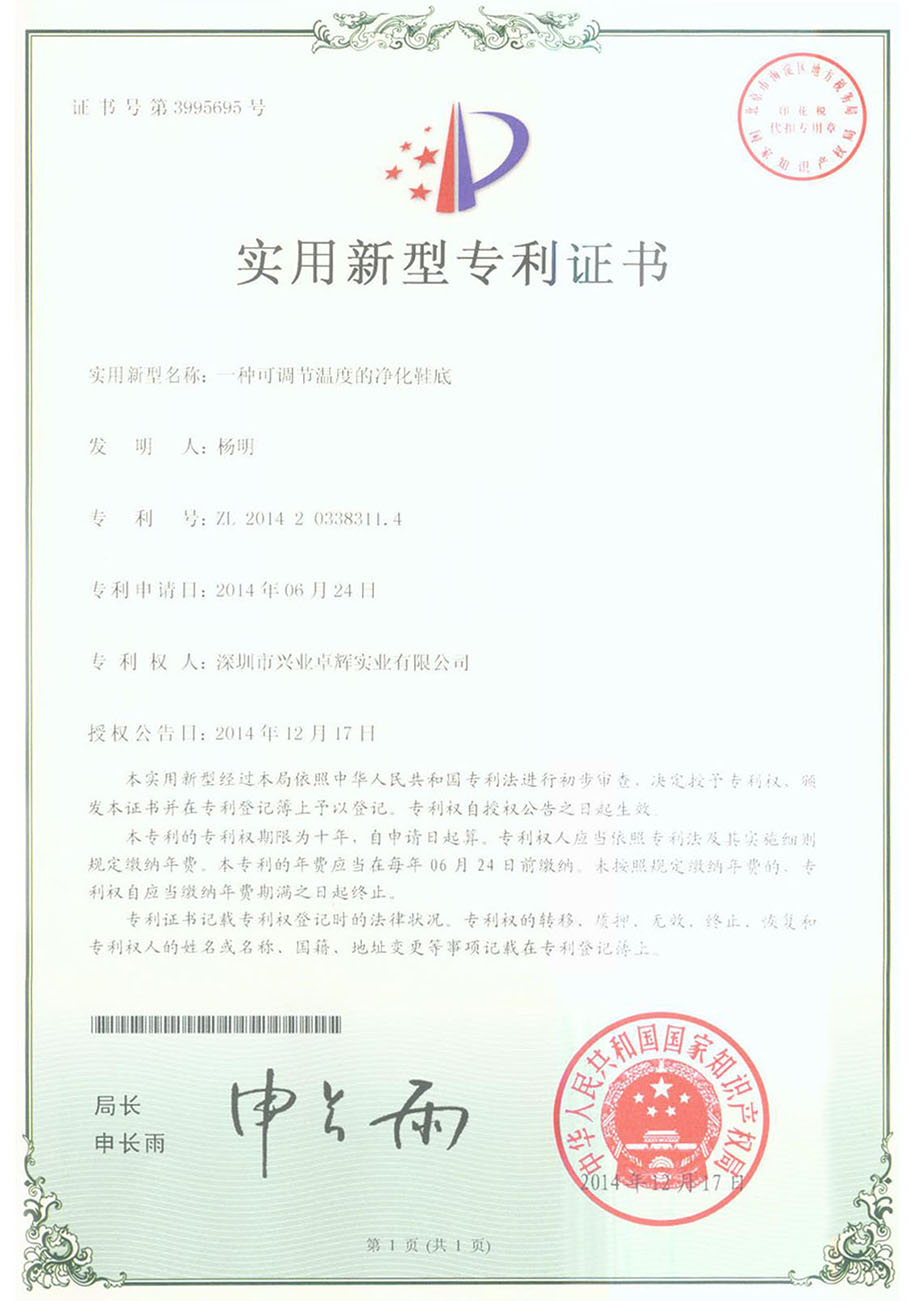 一（yī）種可調節溫度的淨化鞋（xié）底實用新型專利