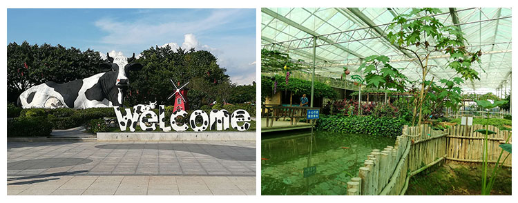 光明農場.jpg 光明(míng)農場(chǎng).jpg