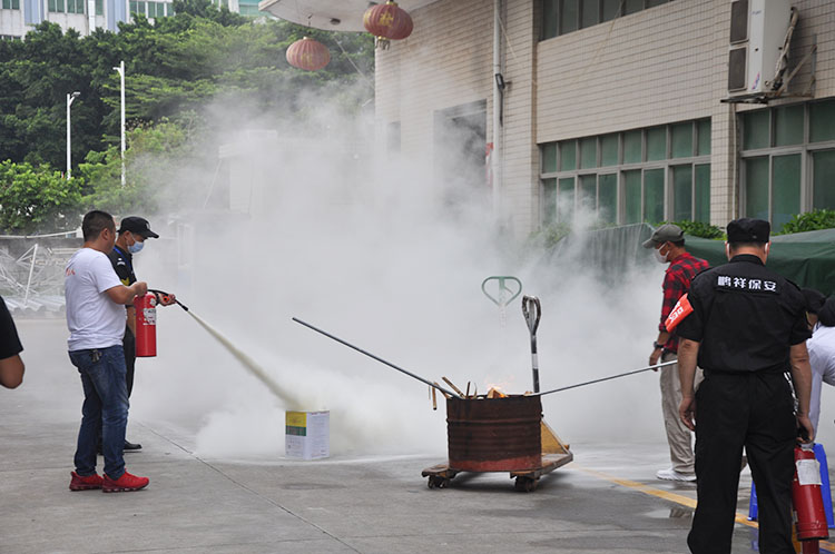 DSC_0203-750.jpg DSC_0203-750.jpg