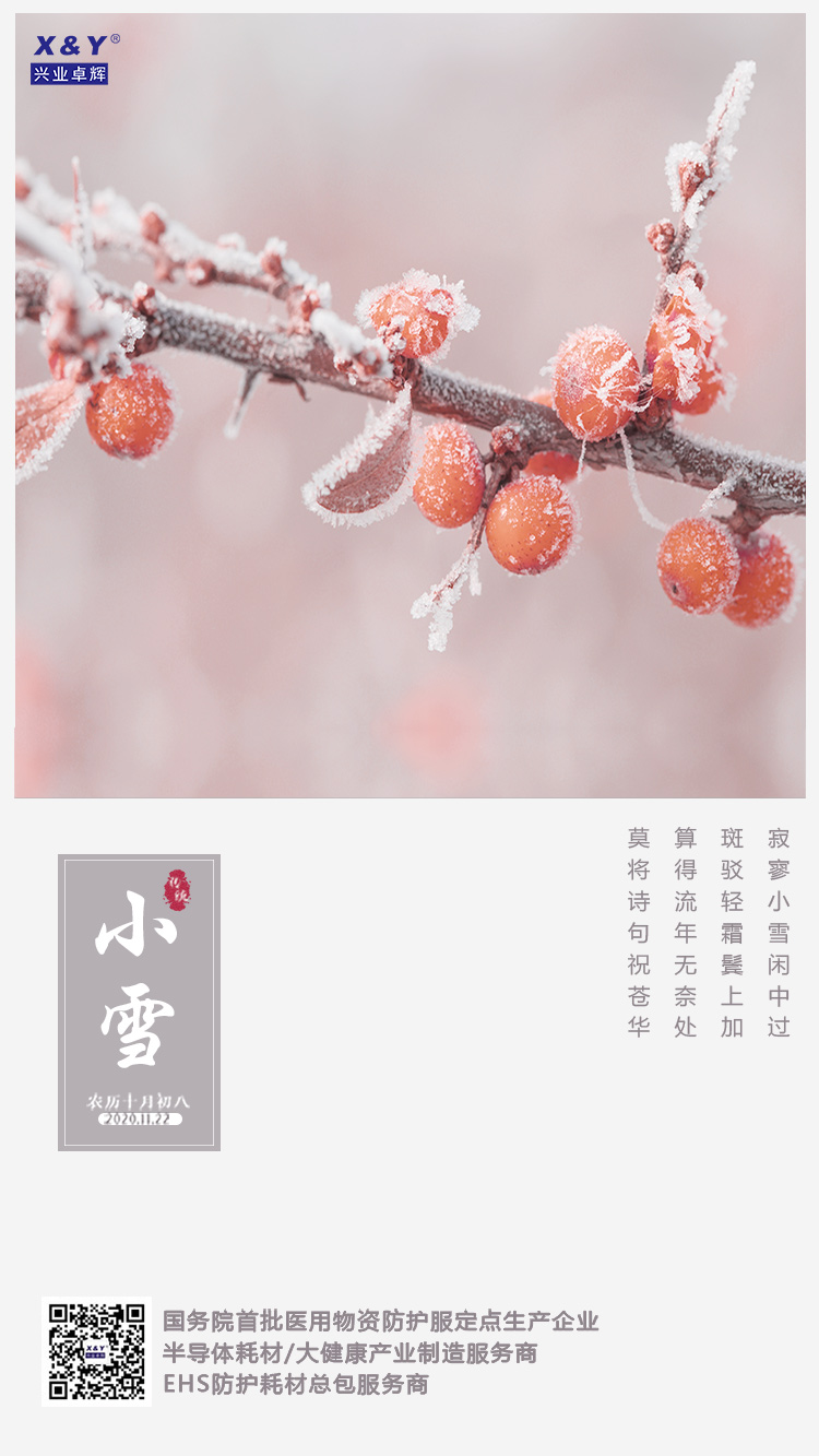 小雪20201119-750.jpg