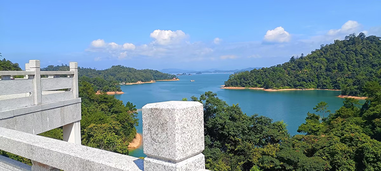 415cd93172776627cfdf9a5bba15308c-750.jpg 415cd93172776627cfdf9a5bba15308c-750.jpg