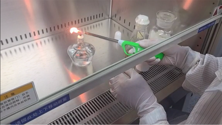 微生物檢測 (2).png