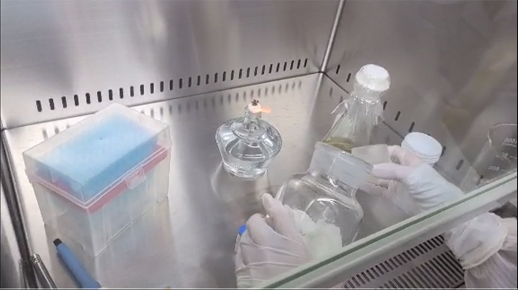 微生物檢測 (3).png